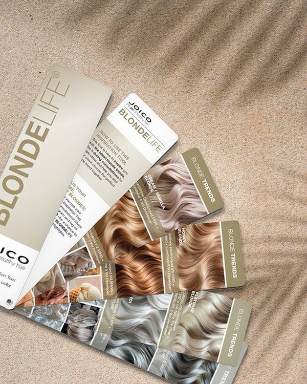 Joico Blonde Life Inspiration Tool