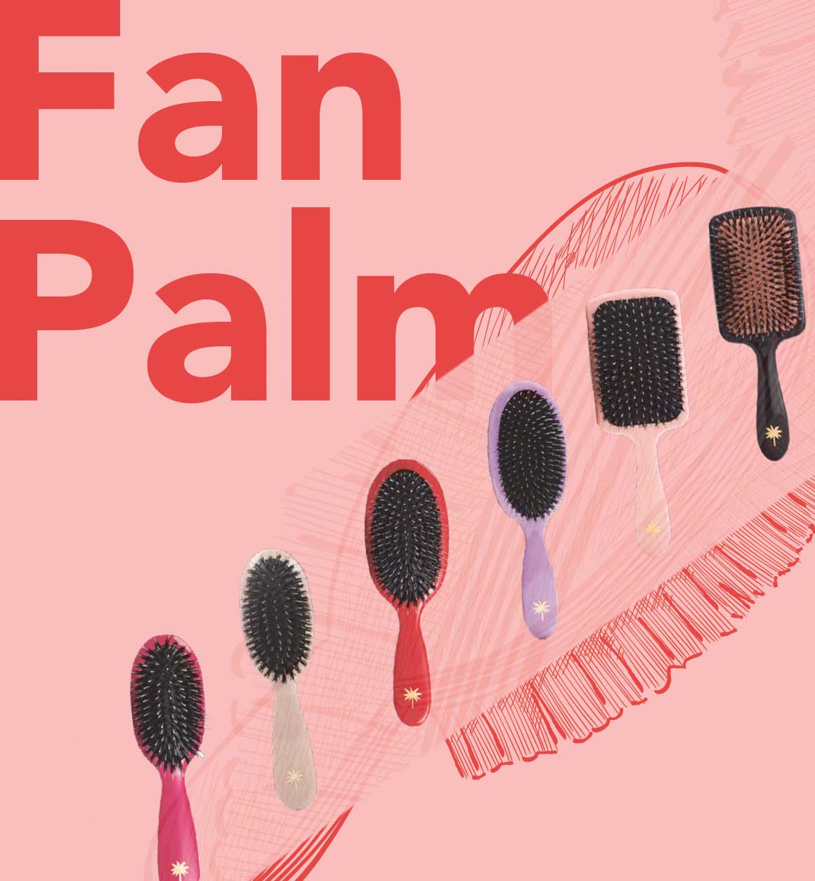 Fan Palm X-MAS Brush Gifts